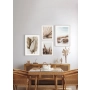 OBRAZ PAMPAS GRASS ON THE WIND NO.1